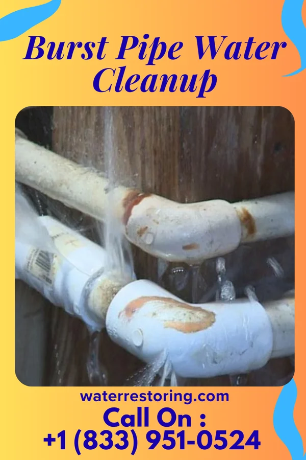 Burst Pipe Water Cleanup in Garden City, GA